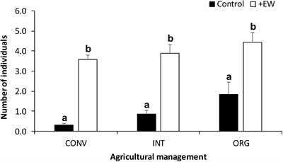 Legacy Effects of Agricultural Practices Override Earthworm Control on C Dynamics in Kiwifruit Orchards